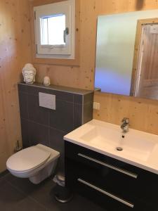 Koupelna v ubytování Chalet Steiermark