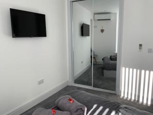 TV a/nebo společenská místnost v ubytování Deeside Snugs Apartments