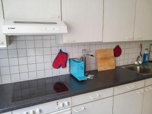 Kuchyň nebo kuchyňský kout v ubytování Apartment Simona Fontile 11 by Interhome