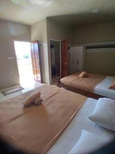 a bedroom with two beds and a mirror at Douglas Airport Guesthouse in Zanderij