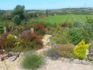 a garden with many different plants and flowers at Sportsmans Lodge Bed and Breakfast in Amlwch