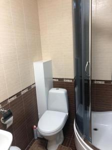 een badkamer met een toilet, een wastafel en een douche bij Квартира студия in Izmail