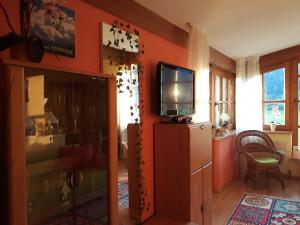 Telewizja i/lub zestaw kina domowego w obiekcie Ferienwohnung Orchidee
