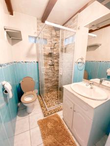 y baño con aseo, lavabo y ducha. en Maison de 2 chambres avec vue sur la mer jardin clos et wifi a Saint Paul, en Saint-Paul