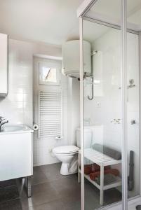 een badkamer met een toilet en een glazen douche bij GITE DE L'ORME in Sancerre