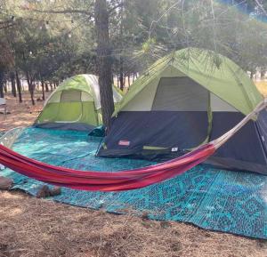 a tent and a hammock in a field at Yurt in Natur