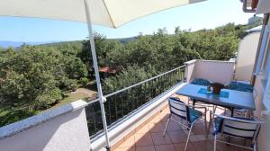 Φωτογραφία από το άλμπουμ του Apartments Damir σε Sveti Ivan Dobrinjski