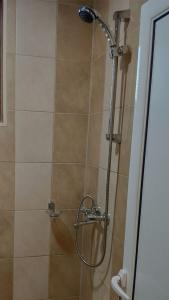 eine Dusche im Bad mit Glastür in der Unterkunft LILIYA Apartment in Plewen