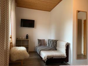 Telewizja i/lub zestaw kina domowego w obiekcie Pension & Apartments Waldkrieber