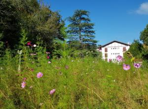 Zahrada ubytování Hotel Pyrenées Atlantique