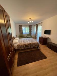 a bedroom with a bed and a couch and a television at Pensiunea La Steaguri in Pojorâta