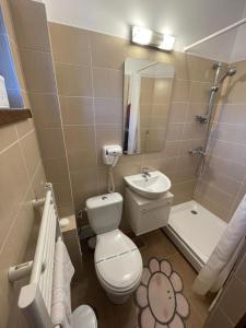 a bathroom with a toilet and a sink and a shower at Pensiunea La Steaguri in Pojorâta +49 photos