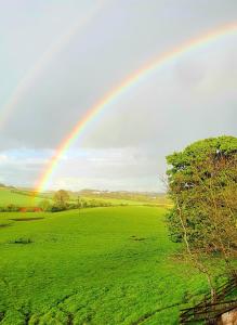 a rainbow in a field with a green field at The Green Monkey Lux Suite at The Grumpy Schnauzer B&B Private Hot Tub, Gym, Breakfast, Stunning! in New Monkland