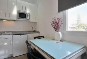 Kuchyň nebo kuchyňský kout v ubytování Apartamentos Ronda Luz