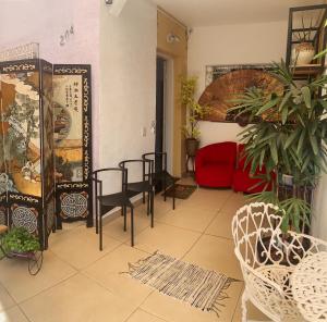 a living room filled with furniture and plants at Hostel Ipê in Sao Paulo