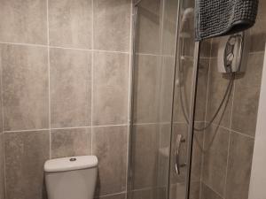 a bathroom with a shower and a toilet at Studio - Sleeps 2 - Pet Friendly w on-site parking in Great Yarmouth