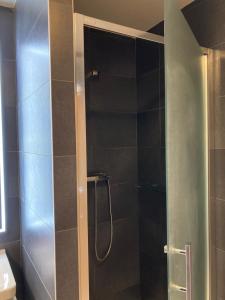 Kúpeľňa v ubytovaní Apartment Husova