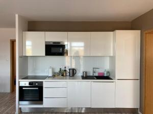 Kuchyňa alebo kuchynka v ubytovaní Apartment Husova
