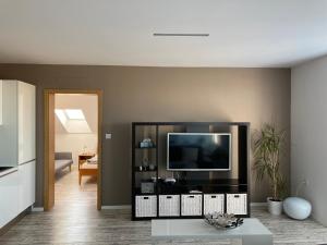TV a/nebo společenská místnost v ubytování Apartment Husova