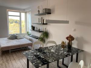 a dining room with a table and a table and chairs at Apartment Husova in Poděbrady