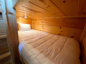 B3 NEW Awesome Tiny Home with AC Mountain Views Minutes to Skiing Hiking Attractions客房内的一张或多张床位