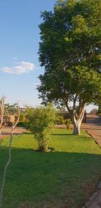 a park with a tree and green grass at At Rest in Zeerust