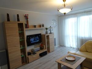 uma sala de estar com um sofá e uma televisão em GRUNWALD APARTMENTS em Szczecin