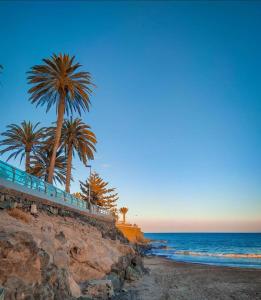 a beach with palm trees and the ocean at Bungalow Paraiso El Mar 3 in San Agustin