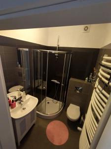 Kúpeľňa v ubytovaní Apartamenty nad jeziorem charzykowskim Villa Emilia