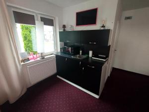 Kuchyňa alebo kuchynka v ubytovaní Apartamenty nad jeziorem charzykowskim Villa Emilia
