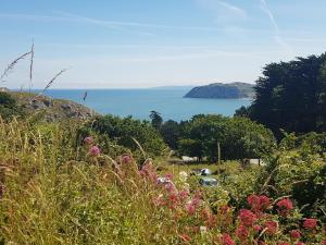a view of the ocean from a field of flowers at Troodos in Llandudno