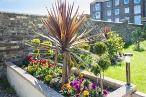 a garden with a palm tree and flowers at Remaotel Seafield Court Apartments in Great Yarmouth
