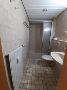 a bathroom with a shower and a toilet and a sink at Deutscher Kaiser in Lauchringen