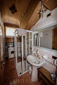 a bathroom with a sink and a shower and a toilet at Appartamento Mainardi in Auronzo di Cadore