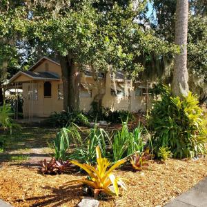 a garden with plants in front of a house at 1 Beige Cozy Bungalow or 1 White Cozy Efficiency Cottage in Titusville in Titusville