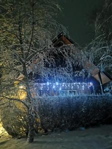 a house with lights in the snow at night at Całoroczne Domki "Stokrotka" in Solina