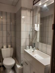 Koupelna v ubytování Hotel du Cygne + 37 fotografií