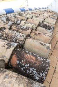 a row of rusted bricks sitting on a sidewalk at Historic Building Cathedral in Seville