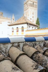 a close up of a pipe with a building in the background at Historic Building Cathedral in Seville
