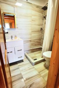 Koupelna v ubytování Cabanele FloriCrin - Cabana Mare