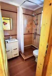 Koupelna v ubytování Cabanele FloriCrin - Cabana Mare