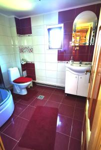 La salle de bains est pourvue de toilettes, d'un lavabo et d'un miroir. dans l'établissement Cabanele FloriCrin - Cabana 2, à Mărişel