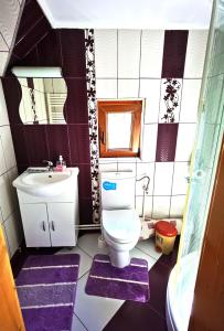 La petite salle de bains est pourvue de toilettes et d'un lavabo. dans l'établissement Cabanele FloriCrin - Cabana 2, à Mărişel
