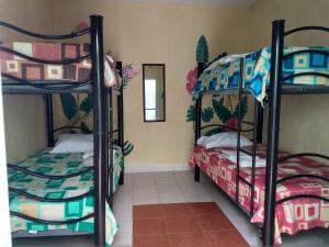 Hostel Áabilo'ob في بروغريسو: غرفة نوم بسريرين بطابقين في غرفة