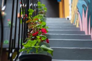 un grupo de escaleras con flores rojas. en XanticoHostal en Ipiales