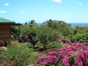 a garden with pink flowers in front of a house at Big Sky Lodge in Crochu