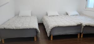 twee bedden naast elkaar in een kamer bij Warak Guesthouse in Jeju-stad