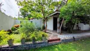 Calm House - Nature inspired private stay Mirissa في ميريسا: منزل صغير مع حديقة وشرفة