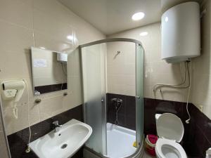 un piccolo bagno con un water e un lavandino di Manana Japaridze's Guesthouse a Mestia