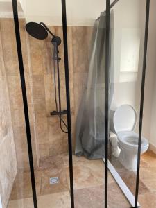 a bathroom with a shower with a toilet at Maison chaleureuse in Villeneuve-sur-Lot